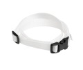 white belt