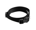 black belt